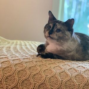 Meet your Posher, Emma